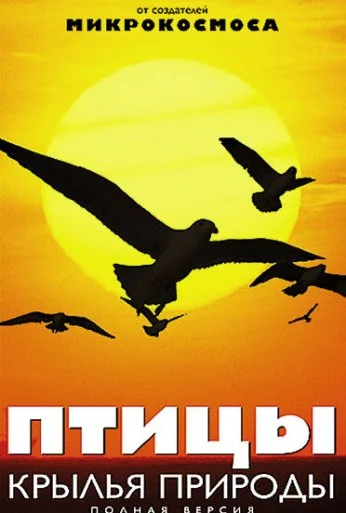 Птицы: Крылья природы (2002) онлайн бесплатно